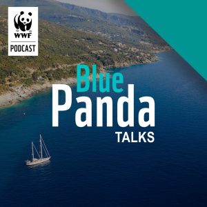 14/04 : « Blue Panda Talks », les podcasts qui vous font sillonner la Méditerranée